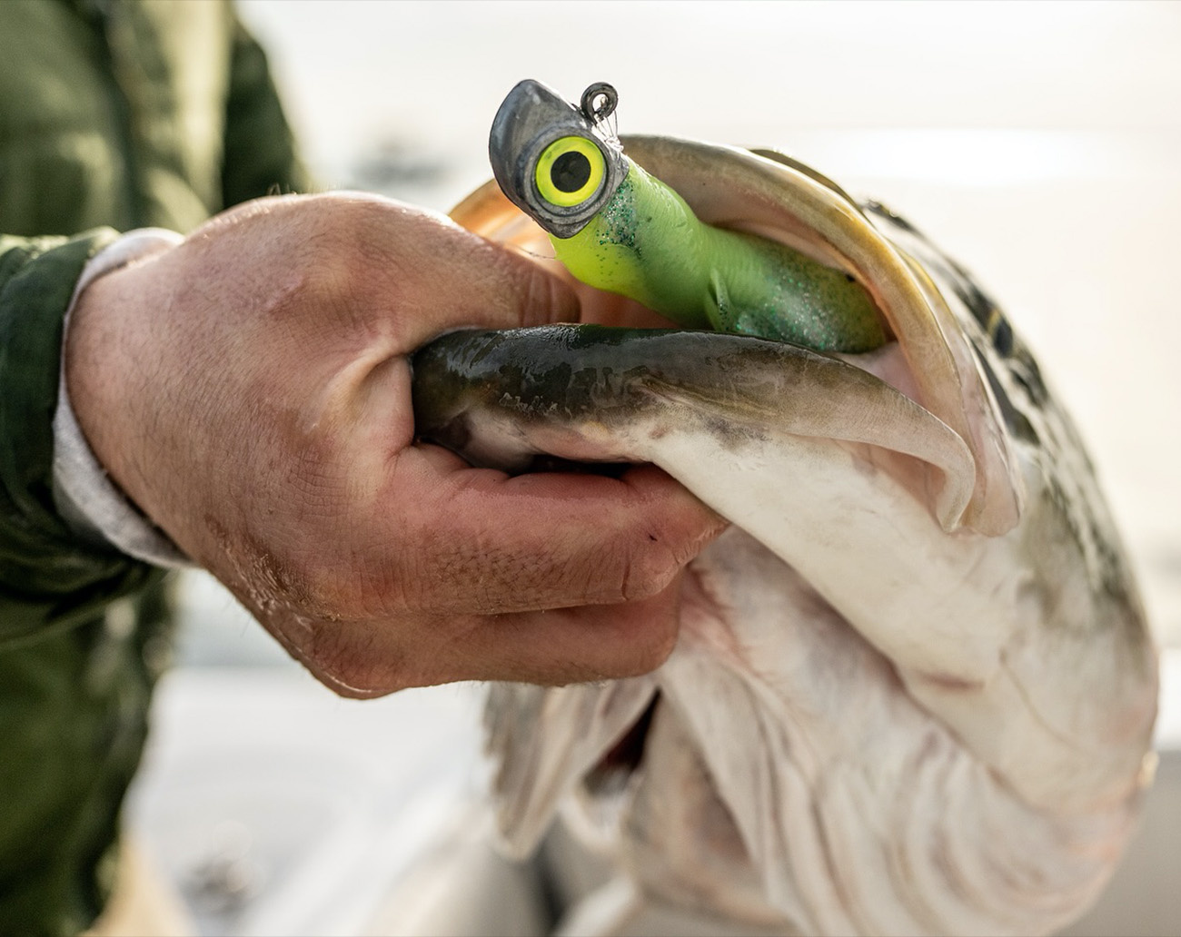 Z-Man Diezel MinnowZ 12,7 cm